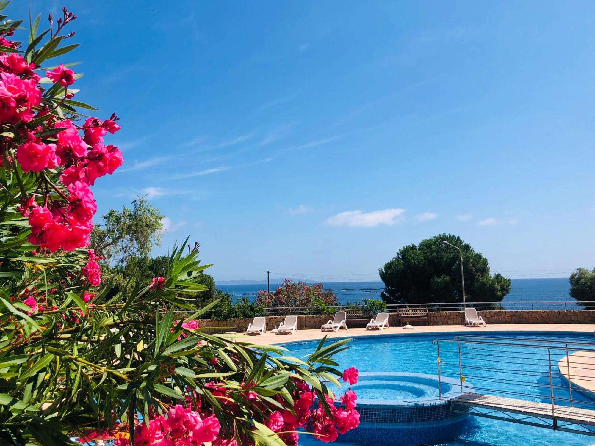 Superbe T2 Vue Mer - Piscine & Plage A 100M 아작시오 외부 사진